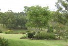 Ashmoreresidential-landscaping-40.jpg; ?>